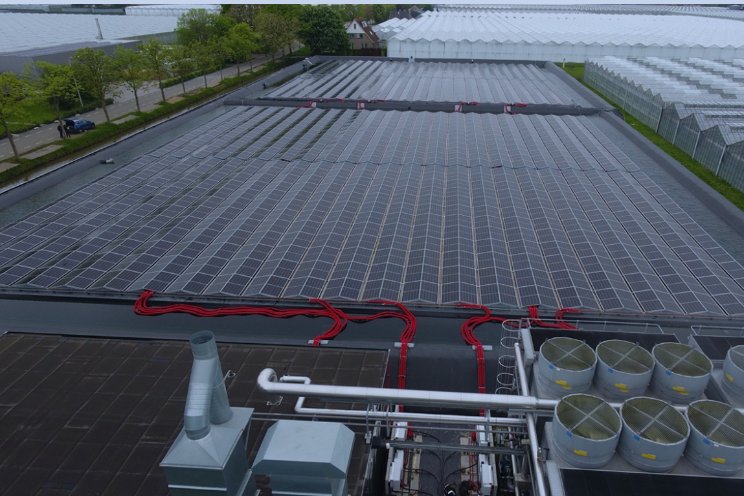 2.800 zonnepanelen voor Van der Drift Roses