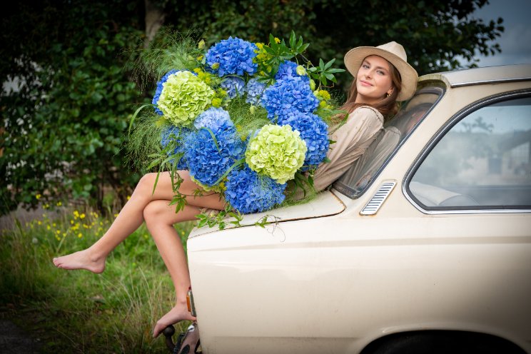 Hortensia in spotlights!