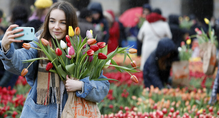 200.000 tulpen verhuizen naar het Museumplein