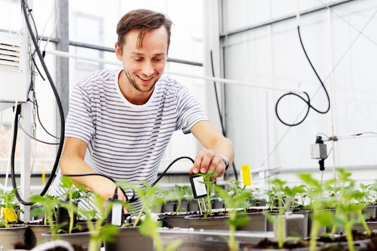 Teams uit hele wereld telen autonoom tomaten