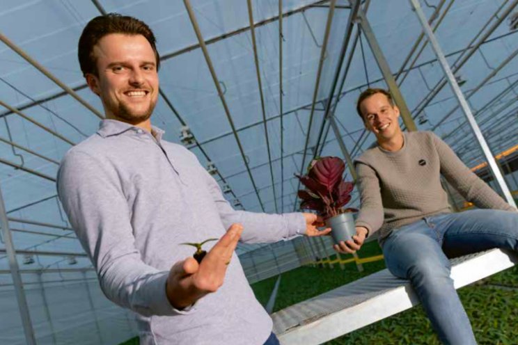 Planthunters: digitaal podium bijzondere planten