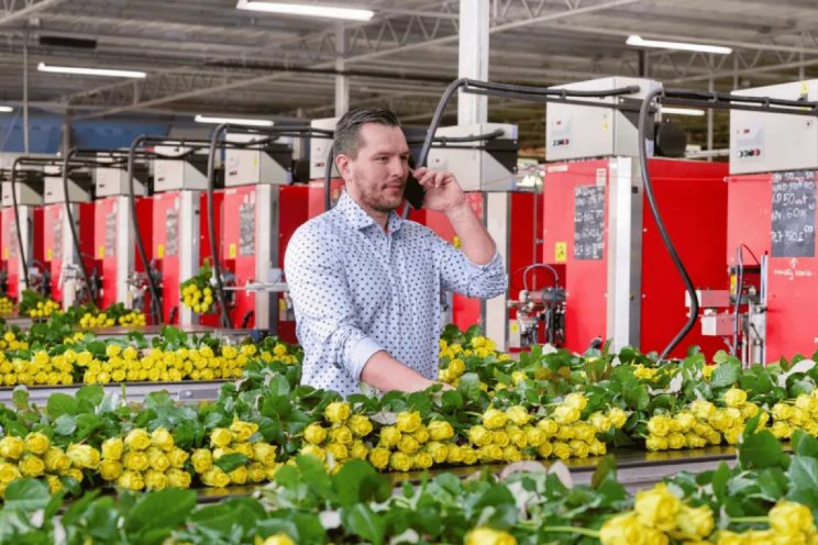 Retailvoorwaarden beschikbaar via Floriday