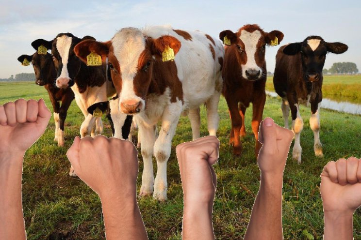 'Klimaat vs boeren is achterhaalde tegenstelling'