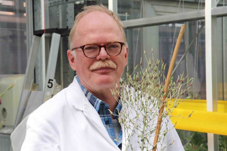 Onderscheiding voor Plantengenetica-expert