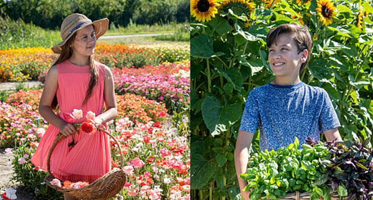 2022 is het Jaar van Papaver en Basilicum