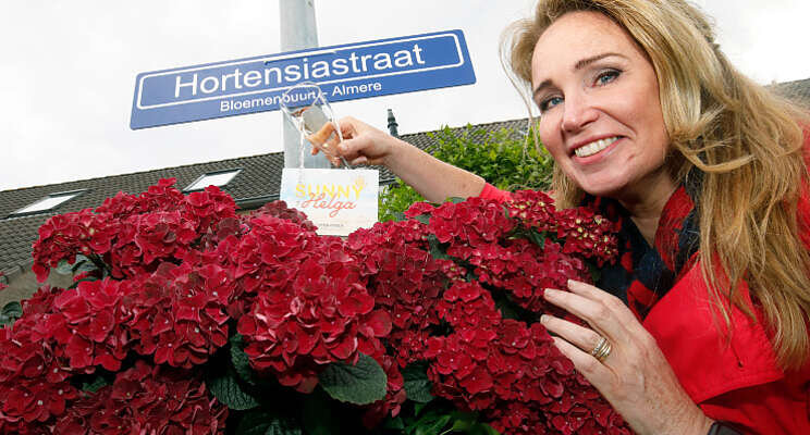 Weervrouw Helga van Leur verrast met eigen hortensia