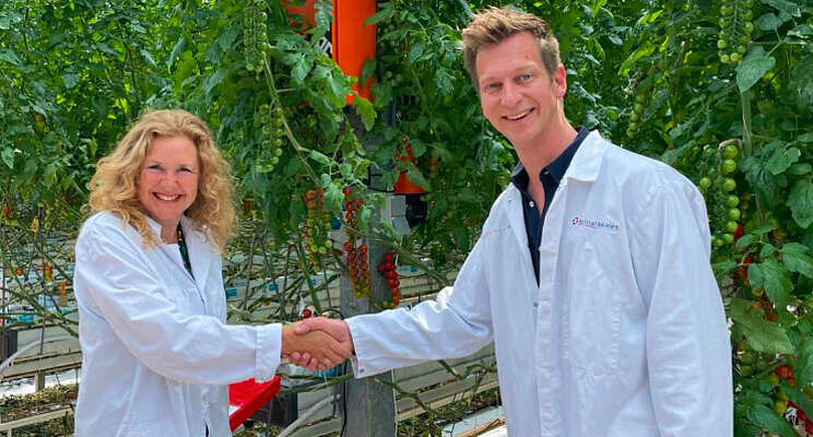 Gearbox verlengt partnerschap Tomatoworld