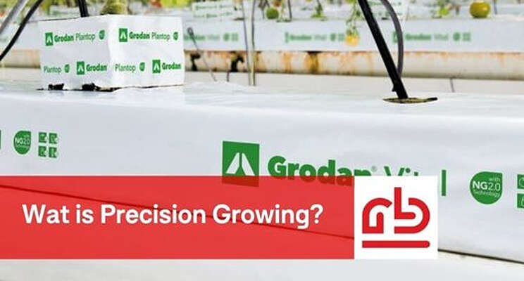 Facebook: Precision Growing